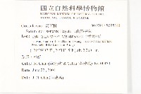 玉山佛甲草藏品圖，第2張