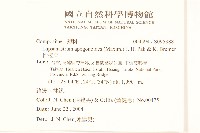 稻槎菜藏品圖，第2張
