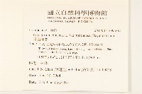 塔山澤蘭藏品圖，第2張