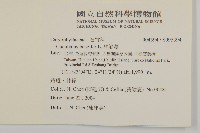 狗筋蔓藏品圖，第2張