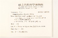 絲綿草藏品圖，第2張