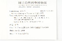 星果佛甲草藏品圖，第2張