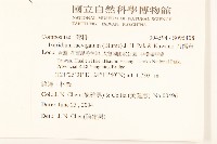 刀傷草藏品圖，第2張
