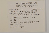 阿里山繁縷藏品圖，第2張