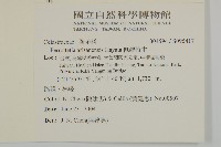 佩羅特木藏品圖，第2張