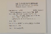 阿里山繁縷藏品圖，第2張