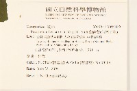 山苦藚、假福王草藏品圖，第2張