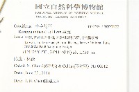 葶藶藏品圖，第2張