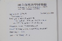 馬島懸枝花藏品圖，第2張