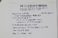臺灣秋海棠藏品圖，第2張