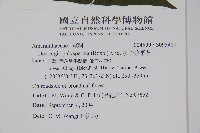 多子漿果莧藏品圖，第2張