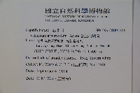 著生珊瑚樹藏品圖，第2張
