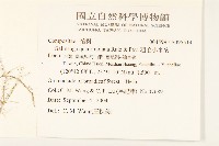粗毛小米菊藏品圖，第2張