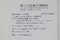 臺灣秋海棠藏品圖，第2張