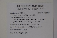 裡白忍冬、紅腺忍冬藏品圖，第2張