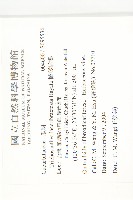 槭葉括摟藏品圖，第2張