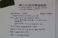 呂宋莢迷藏品圖，第2張