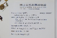 普刺特草藏品圖，第2張