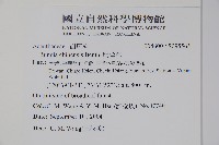 明萼草藏品圖，第2張