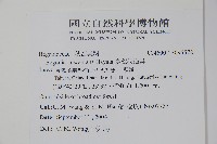 臺灣秋海棠藏品圖，第2張
