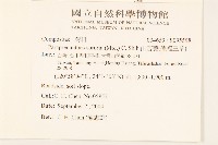 山苦藚、假福王草藏品圖，第2張