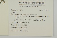 登錄號:S095599藏品圖，第2張