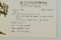 登錄號:S095604藏品圖，第2張