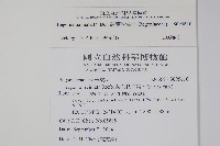裂葉秋海棠藏品圖，第2張