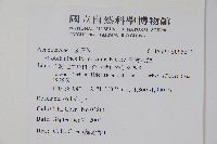 臺灣馬藍藏品圖，第2張