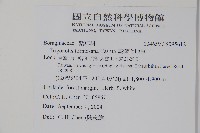 臺灣附地草藏品圖，第2張