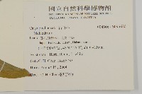 登錄號:S095620藏品圖，第2張