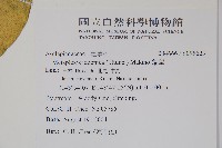 蘿藦藏品圖，第2張