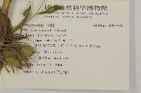 登錄號:S095636藏品圖，第2張