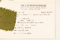 登錄號:S095637藏品圖，第2張