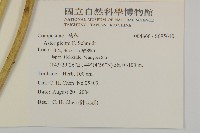 登錄號:S095640藏品圖，第2張
