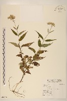 登錄號:S095656藏品圖，第2張