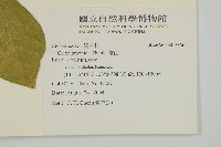 常山藏品圖，第2張