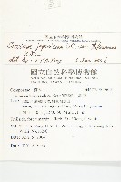 白花小薊藏品圖，第2張