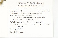 饑荒草藏品圖，第2張