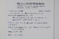 針刺草藏品圖，第2張