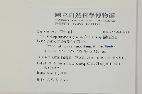蘭嶼絡石藏品圖，第2張