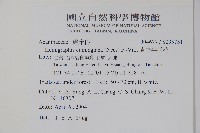 直立半插花藏品圖，第2張