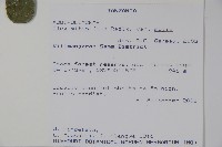 登錄號:S095802藏品圖，第2張