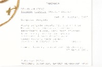 登錄號:S095833藏品圖，第2張