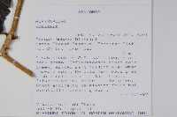 登錄號:S095838藏品圖，第2張