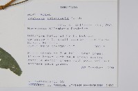 登錄號:S095867藏品圖，第2張