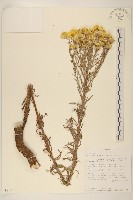 登錄號:S095871藏品圖，第1張