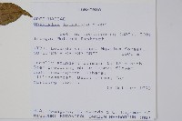 登錄號:S095880藏品圖，第2張