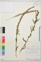 登錄號:S095895藏品圖，第1張