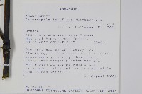 登錄號:S095917藏品圖，第2張